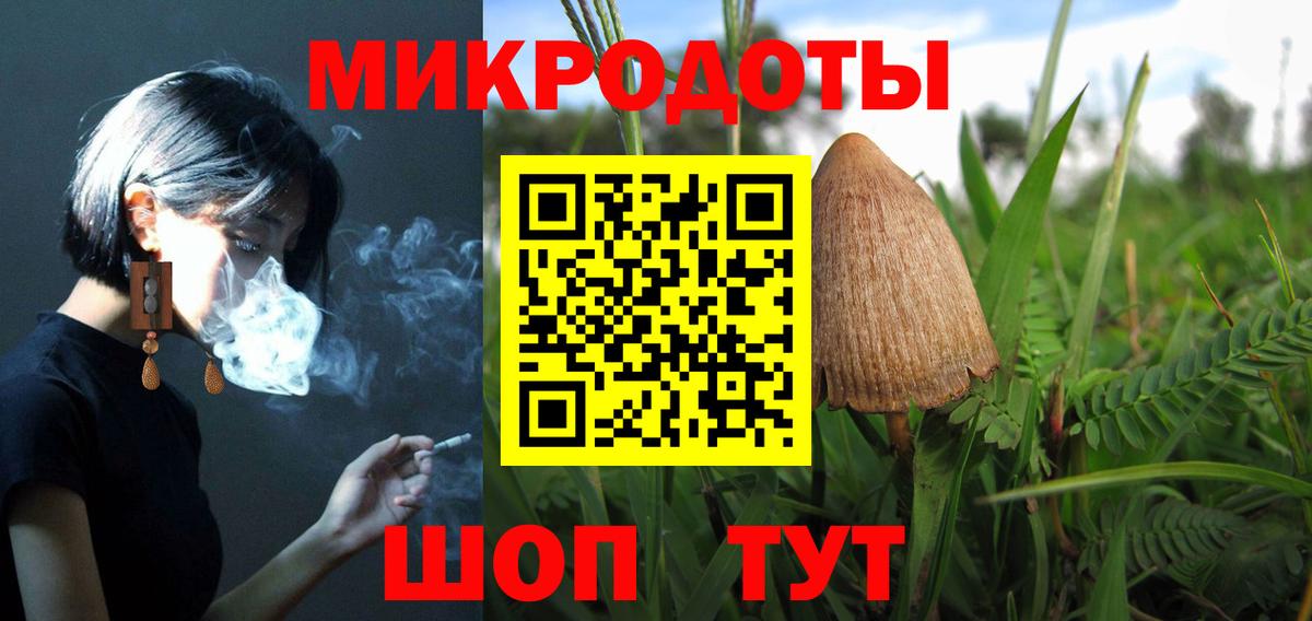 закладка  Вход с VPN  Курчатов  Псилоцибиновые грибы мицелий 