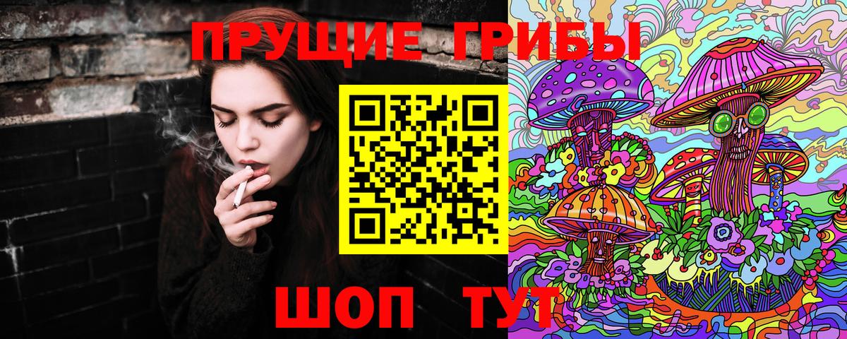 Псилоцибиновые грибы GOLDEN TEACHER Курчатов